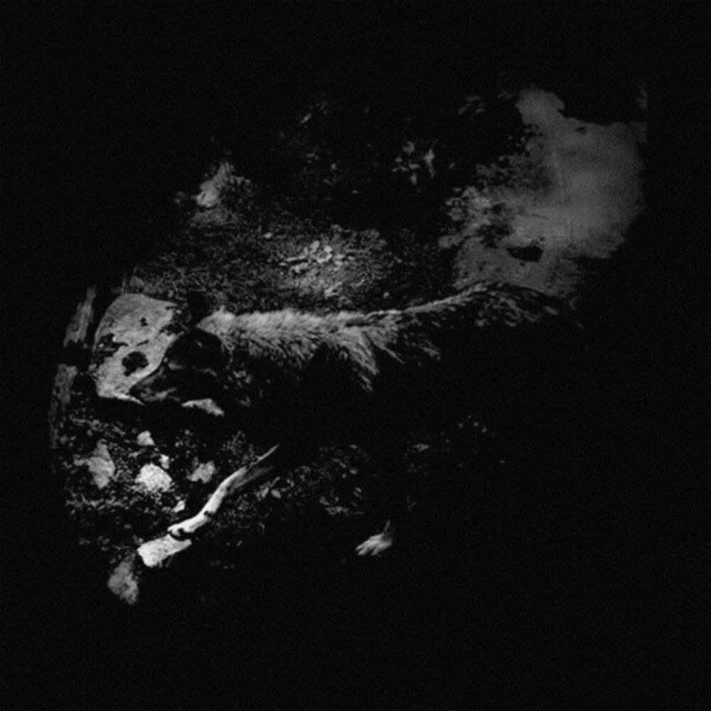 October Falls - The Womb of Primordial Nature, Pt. 3 cover art