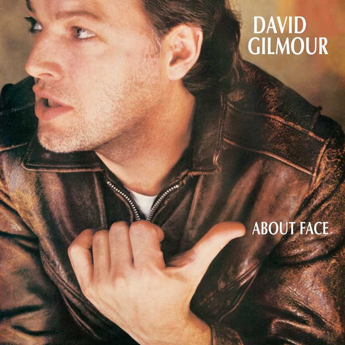 David Gilmour - Let's Get Metaphysical (2006 Remaster)