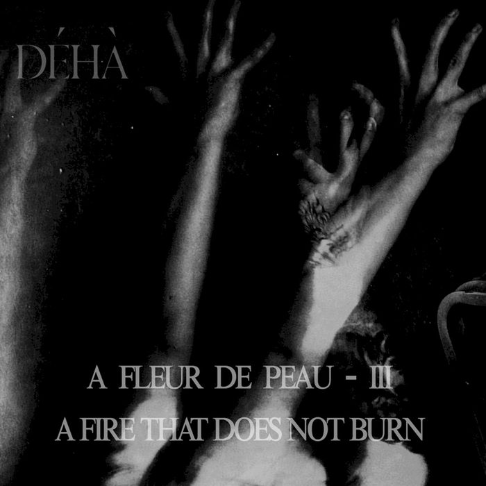 A fleur de peau – III – A Fire That Does Not Burn - Déhà